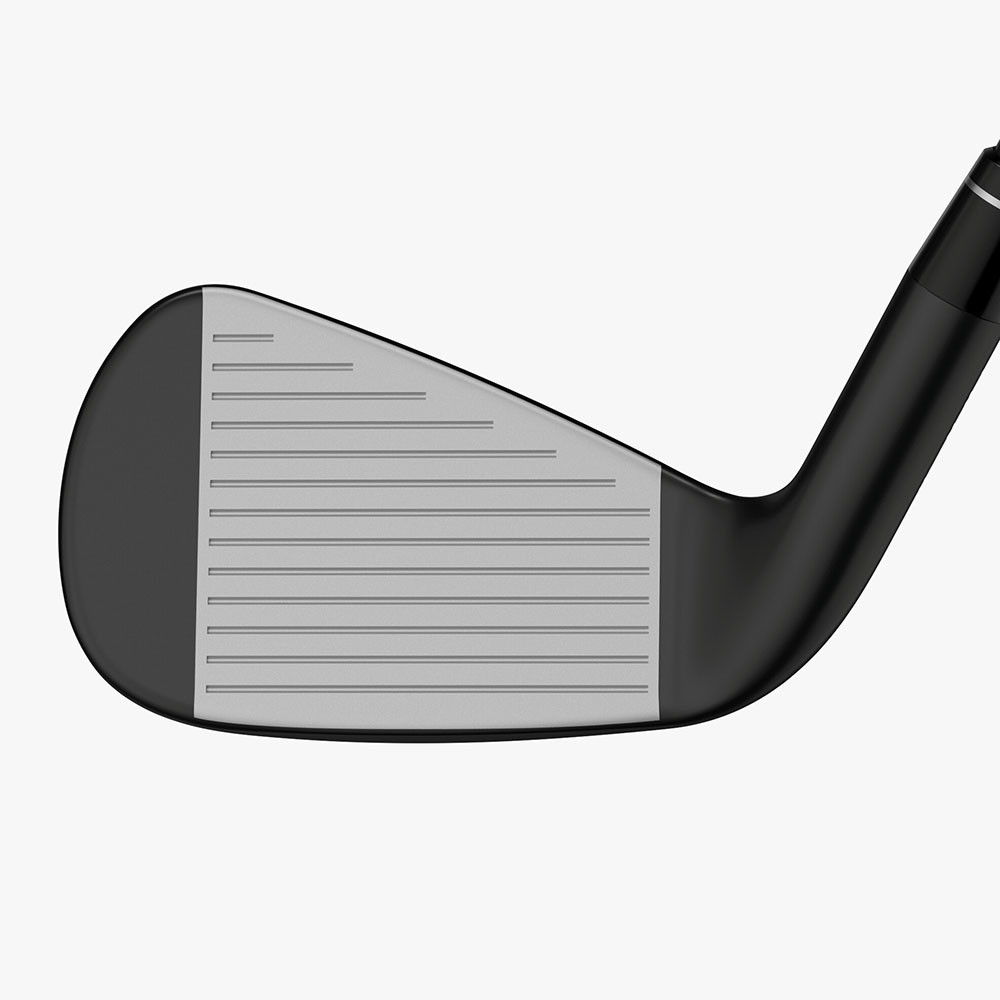 Callaway Apex Ai 200 Black Shadow Irons - Maple Hill Golf